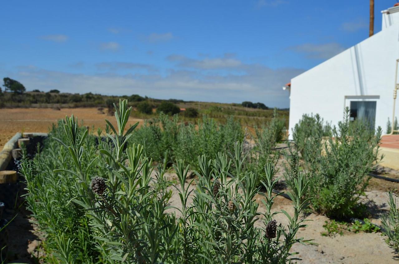 Entre Vinhas & Mar Villa Obidos Exterior photo
