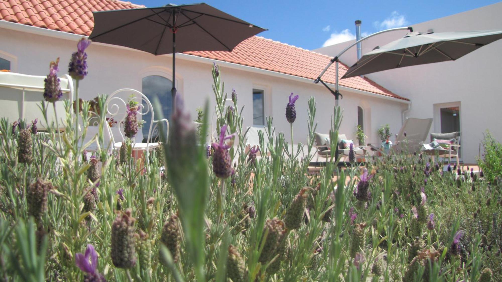 Entre Vinhas & Mar Villa Obidos Exterior photo