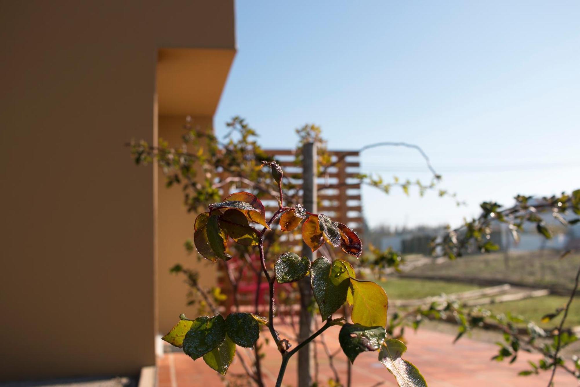 Entre Vinhas & Mar Villa Obidos Exterior photo